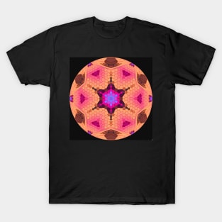 A floral globe T-Shirt